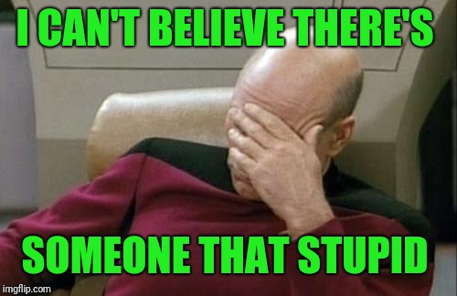 Captain Picard Facepalm Meme | I CAN'T BELIEVE THERE'S SOMEONE THAT STUPID | image tagged in memes,captain picard facepalm | made w/ Imgflip meme maker