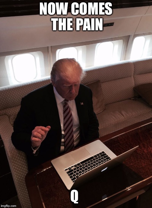 Donald trump typing | NOW COMES THE PAIN; Q | image tagged in donald trump typing | made w/ Imgflip meme maker