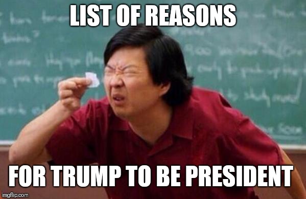 List of people I trust | LIST OF REASONS; FOR TRUMP TO BE PRESIDENT | image tagged in list of people i trust | made w/ Imgflip meme maker