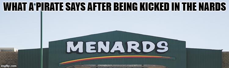 pirate talk  | WHAT A PIRATE SAYS AFTER BEING KICKED IN THE NARDS | image tagged in menards,pirate | made w/ Imgflip meme maker