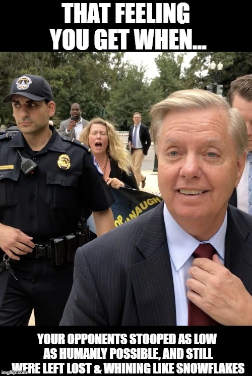 LIndsay Graham: That Feeling You Get | THAT FEELING YOU GET WHEN... YOUR OPPONENTS STOOPED AS LOW AS HUMANLY POSSIBLE, AND STILL WERE LEFT LOST & WHINING LIKE SNOWFLAKES | image tagged in lindsay graham,brett kavanaugh | made w/ Imgflip meme maker