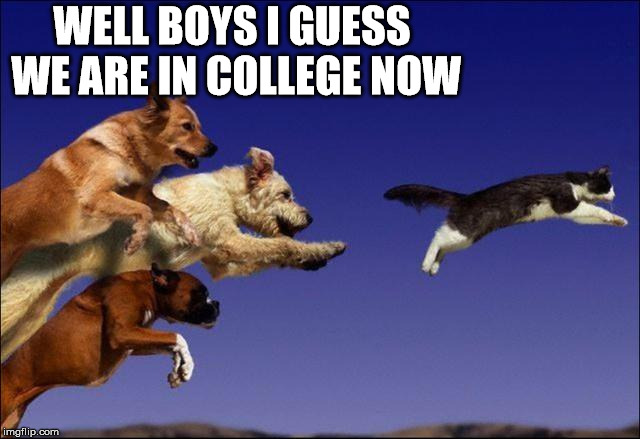 WELL BOYS I GUESS WE ARE IN COLLEGE NOW | made w/ Imgflip meme maker