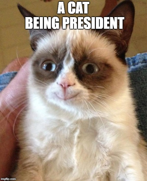 Grumpy Cat Happy Meme | A CAT BEING PRESIDENT | image tagged in memes,grumpy cat happy,grumpy cat | made w/ Imgflip meme maker