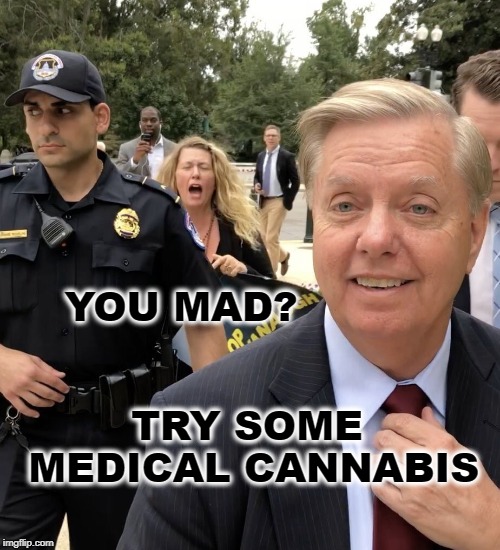 YOU MAD? TRY SOME MEDICAL CANNABIS | image tagged in lindsey graham,cannabis,medicine,triggered,politics | made w/ Imgflip meme maker