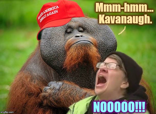 Orangutrolling |  Mmm-hmm... Kavanaugh. NOOOOO!!! | image tagged in maga,brett kavanaugh,memes,phunny,triggered,screaming liberal | made w/ Imgflip meme maker