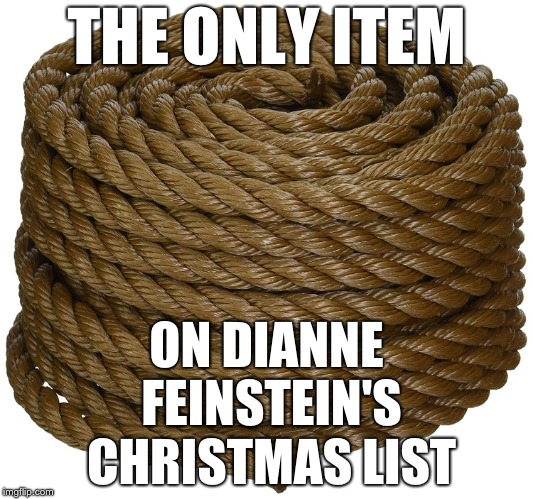 THE ONLY ITEM; ON DIANNE FEINSTEIN'S CHRISTMAS LIST | image tagged in rope | made w/ Imgflip meme maker
