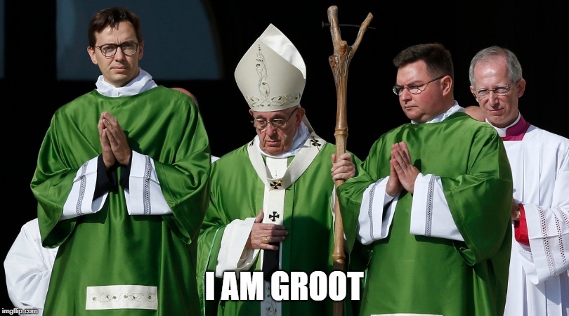 Pope Groot | I AM GROOT | image tagged in i am pope groot | made w/ Imgflip meme maker
