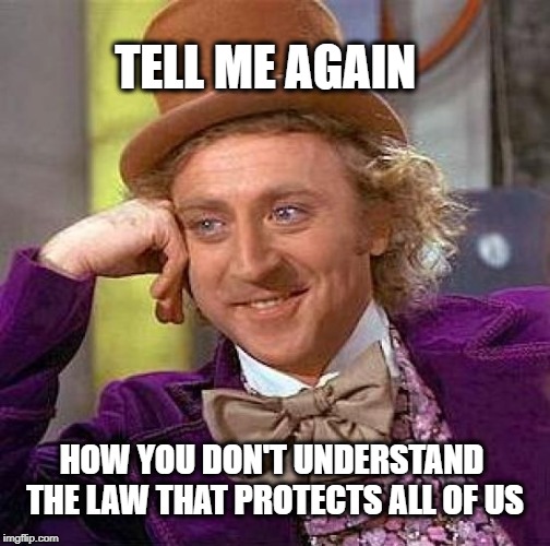 Creepy Condescending Wonka Meme | TELL ME AGAIN HOW YOU DON'T UNDERSTAND THE LAW THAT PROTECTS ALL OF US | image tagged in memes,creepy condescending wonka | made w/ Imgflip meme maker