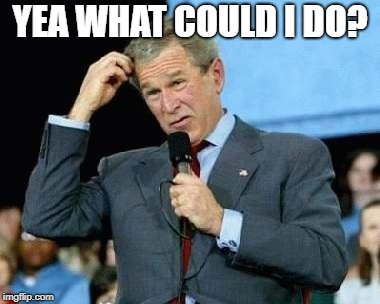 Confused Bush | YEA WHAT COULD I DO? | image tagged in confused bush | made w/ Imgflip meme maker