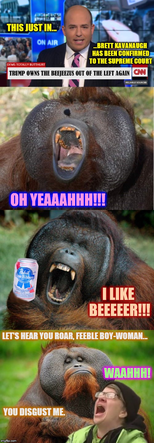 Beastly Kavanaugh Reactions |  THIS JUST IN... ...BRETT KAVANAUGH HAS BEEN CONFIRMED TO THE SUPREME COURT; OH YEAAAHHH!!! I LIKE BEEEEER!!! LET'S HEAR YOU ROAR, FEEBLE BOY-WOMAN... WAAHHH! YOU DISGUST ME. | image tagged in brett kavanaugh,political,phunny,memes,animal,screaming liberal | made w/ Imgflip meme maker