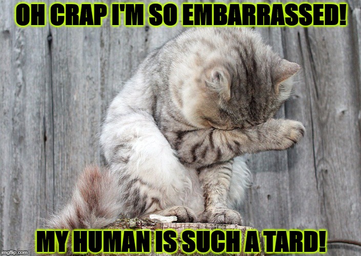 OH CRAP I'M SO EMBARRASSED! MY HUMAN IS SUCH A TARD! | image tagged in such an idiot | made w/ Imgflip meme maker