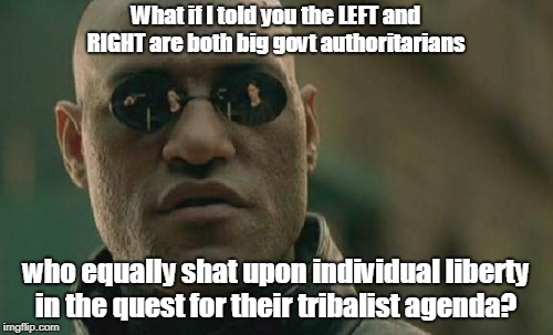 Matrix Morpheus Meme | What if I told you the LEFT and RIGHT are both big govt authoritarians who equally shat upon individual liberty in the quest for their triba | image tagged in memes,matrix morpheus | made w/ Imgflip meme maker