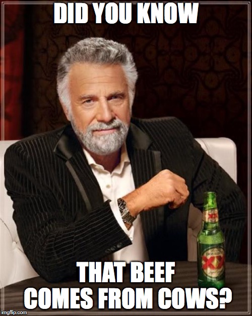 The Most Interesting Man In The World | DID YOU KNOW; THAT BEEF COMES FROM COWS? | image tagged in memes,the most interesting man in the world | made w/ Imgflip meme maker