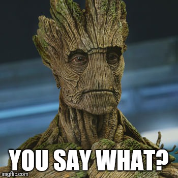 I am Groot | YOU SAY WHAT? | image tagged in i am groot | made w/ Imgflip meme maker