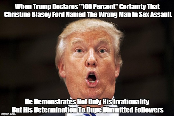 When Trump Declares "100 Percent" Certainty That Christine Blasey Ford Named The Wrong Man In Sex Assault He Demonstrates Not Only His Irrat | made w/ Imgflip meme maker