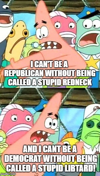 Put It Somewhere Else Patrick Meme | I CAN'T BE A REPUBLICAN WITHOUT BEING CALLED A STUPID REDNECK; AND I CANT BE A DEMOCRAT WITHOUT BEING CALLED A STUPID LIBTARD! | image tagged in memes,put it somewhere else patrick | made w/ Imgflip meme maker