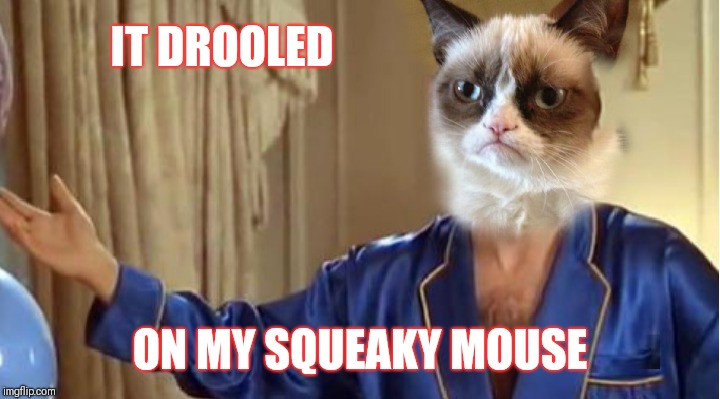 IT DROOLED ON MY SQUEAKY MOUSE | made w/ Imgflip meme maker