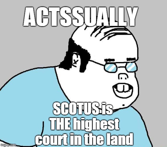 Actually | ACTSSUALLY SCOTUS is THE highest court in the land | image tagged in actually | made w/ Imgflip meme maker