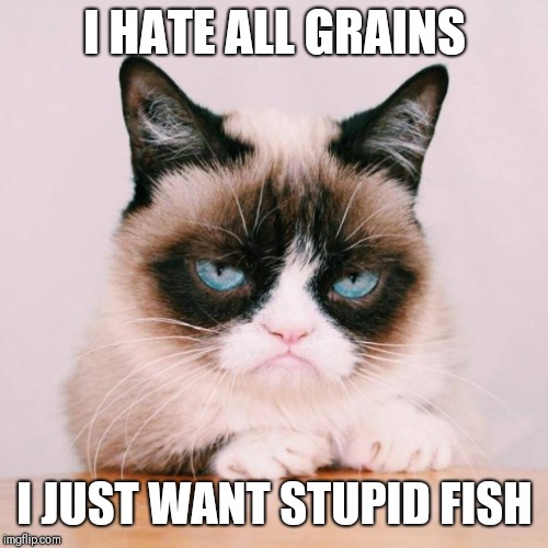 grumpy cat again | I HATE ALL GRAINS I JUST WANT STUPID FISH | image tagged in grumpy cat again | made w/ Imgflip meme maker
