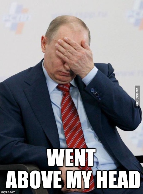 Putin Facepalm | WENT ABOVE MY HEAD | image tagged in putin facepalm | made w/ Imgflip meme maker