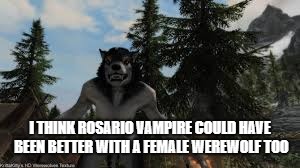 Rosario Vampire Needs a Female Werewolf | I THINK ROSARIO VAMPIRE COULD HAVE BEEN BETTER WITH A FEMALE WEREWOLF TOO | image tagged in werewolf | made w/ Imgflip meme maker