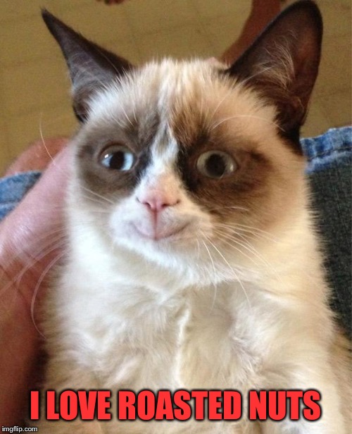Grumpy Cat Happy Meme | I LOVE ROASTED NUTS | image tagged in memes,grumpy cat happy,grumpy cat | made w/ Imgflip meme maker