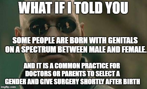 Matrix Morpheus Meme | WHAT IF I TOLD YOU SOME PEOPLE ARE BORN WITH GENITALS ON A SPECTRUM BETWEEN MALE AND FEMALE. AND IT IS A COMMON PRACTICE FOR DOCTORS OR PARE | image tagged in memes,matrix morpheus | made w/ Imgflip meme maker