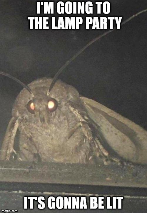 Moth | I'M GOING TO THE LAMP PARTY; IT'S GONNA BE LIT | image tagged in moth | made w/ Imgflip meme maker