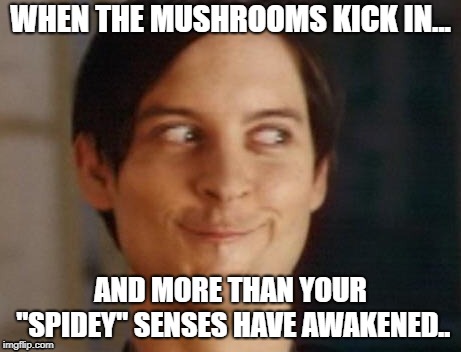 Spiderman Peter Parker Meme | WHEN THE MUSHROOMS KICK IN... AND MORE THAN YOUR "SPIDEY" SENSES HAVE AWAKENED.. | image tagged in memes,spiderman peter parker | made w/ Imgflip meme maker