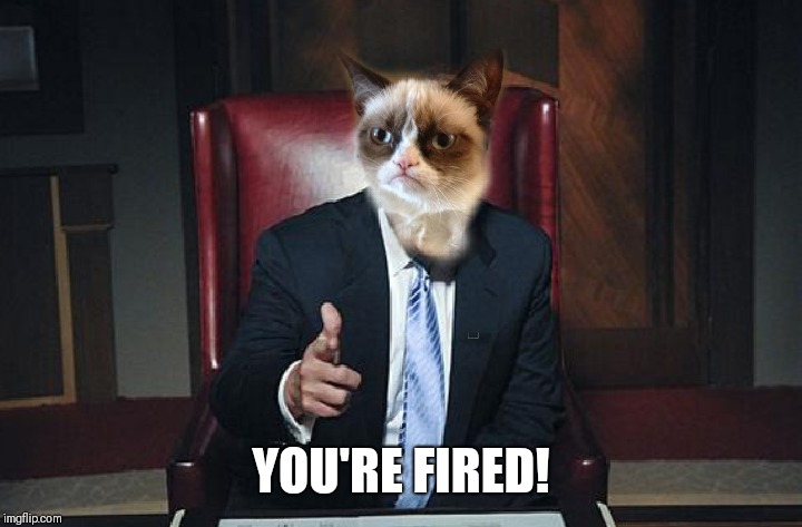 YOU'RE FIRED! | made w/ Imgflip meme maker