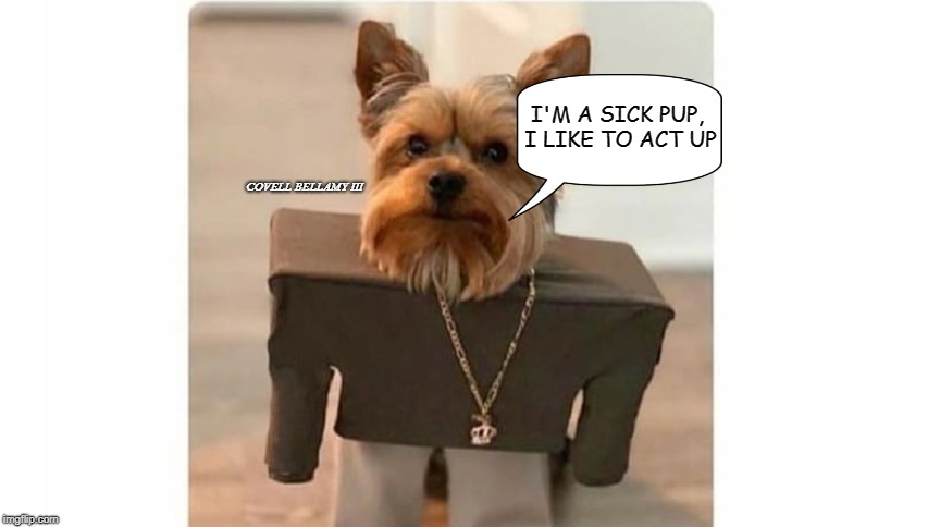 I'M A SICK PUP, I LIKE TO ACT UP; COVELL BELLAMY III | image tagged in rap dog | made w/ Imgflip meme maker