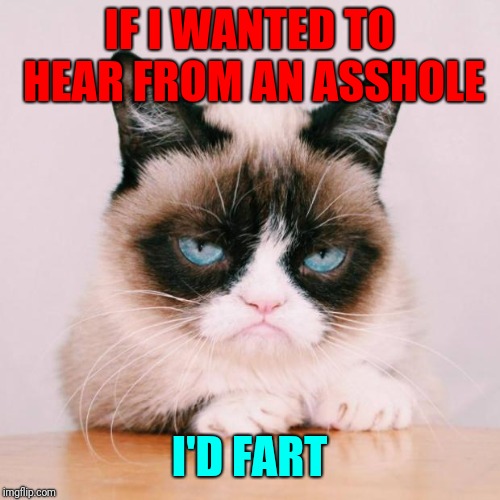  A socrates and Craziness_all_the_way event. Oct 5th-8th. | IF I WANTED TO HEAR FROM AN ASSHOLE; I'D FART | image tagged in grumpy cat again,grumpy cat,grumpy cat weekend,socrates,craziness_all_the_way | made w/ Imgflip meme maker