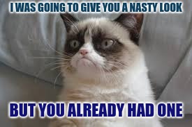  A socrates and Craziness_all_the_way event. Oct 5th-8th. | I WAS GOING TO GIVE YOU A NASTY LOOK; BUT YOU ALREADY HAD ONE | image tagged in grumpy cat,grumpy cat weekend,socrates,craziness_all_the_way,jokes,grumpy | made w/ Imgflip meme maker