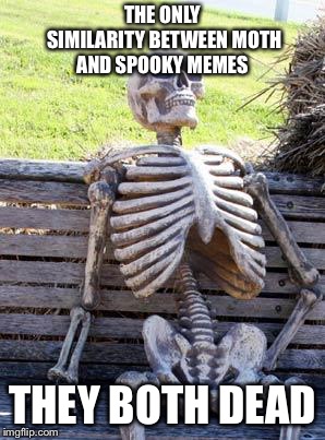 Waiting Skeleton Meme | THE ONLY SIMILARITY BETWEEN MOTH AND SPOOKY MEMES; THEY BOTH DEAD | image tagged in memes,waiting skeleton | made w/ Imgflip meme maker