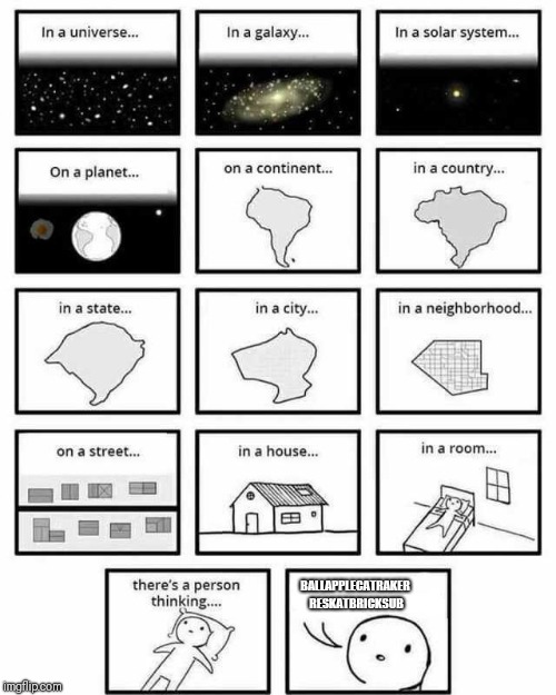 in a universe in a galaxy person thinking | BALLAPPLECATRAKER RESKATBRICKSUB | image tagged in in a universe in a galaxy person thinking | made w/ Imgflip meme maker