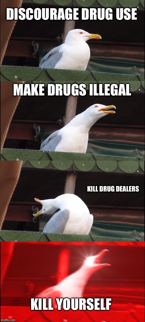 Inhaling Seagull | DISCOURAGE DRUG USE; MAKE DRUGS ILLEGAL; KILL DRUG DEALERS; KILL YOURSELF | image tagged in memes,inhaling seagull | made w/ Imgflip meme maker
