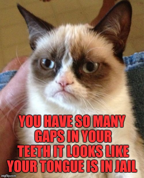 Grumpy Cat Weekend, Oct 5-8, a Craziness_All_The_Way & Socrates event! | YOU HAVE SO MANY GAPS IN YOUR TEETH IT LOOKS LIKE YOUR TONGUE IS IN JAIL | image tagged in memes,grumpy cat,grumpy cat weekend,jbmemegeek | made w/ Imgflip meme maker
