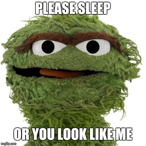 Oscar The Grouch | PLEASE SLEEP; OR YOU LOOK LIKE ME | image tagged in oscar the grouch | made w/ Imgflip meme maker