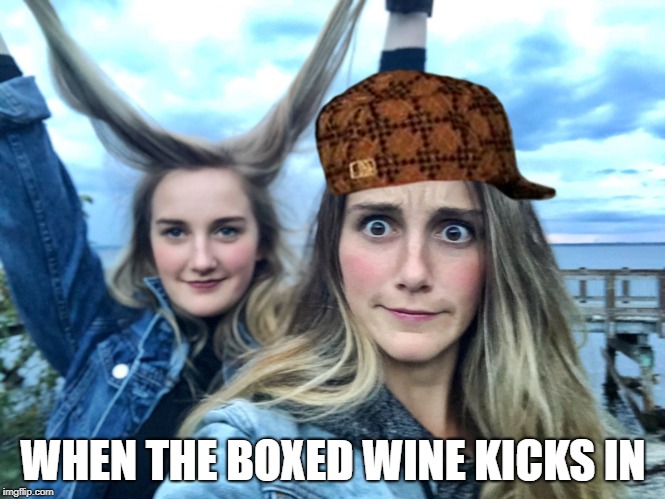 WHEN THE BOXED WINE KICKS IN | made w/ Imgflip meme maker
