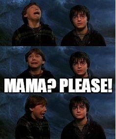 Ron Weasley Panic Meme | MAMA? PLEASE! | image tagged in ron weasley panic meme | made w/ Imgflip meme maker