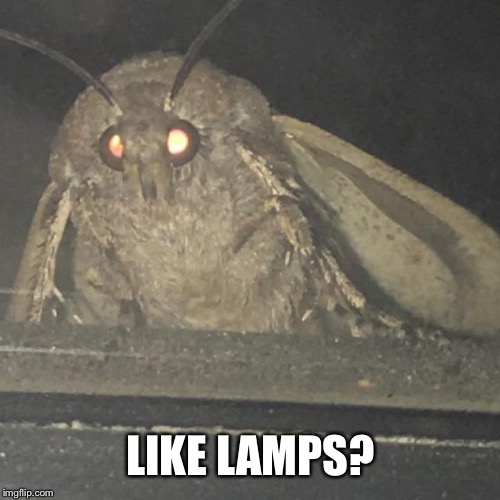 Moth lamp | LIKE LAMPS? | image tagged in moth lamp | made w/ Imgflip meme maker