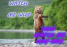 image tagged in dancing,bear,watch me whip | made w/ Imgflip meme maker