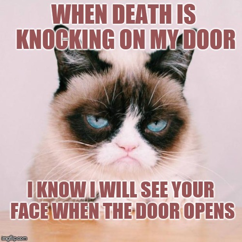 Grumpy Cat Weekend Oct 5th-8th (A Socrates and Craziness_all_the_way event | WHEN DEATH IS KNOCKING ON MY DOOR; I KNOW I WILL SEE YOUR FACE WHEN THE DOOR OPENS | image tagged in grumpy cat again,memes,funny,grumpy cat weekend | made w/ Imgflip meme maker