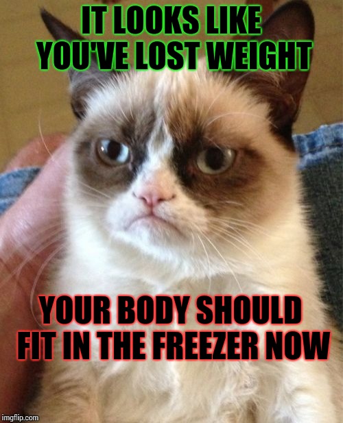 Grumpy cat's weekend! A socrates and Craziness_all_the_way event Oct 5-8 | IT LOOKS LIKE YOU'VE LOST WEIGHT; YOUR BODY SHOULD FIT IN THE FREEZER NOW | image tagged in memes,grumpy cat,grumpy cat weekend | made w/ Imgflip meme maker