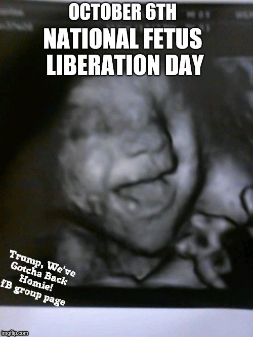 National Fetus Liberation Day | image tagged in judge brett kavanaugh,abortion,trump,republican,conservative,roe vs wade | made w/ Imgflip meme maker