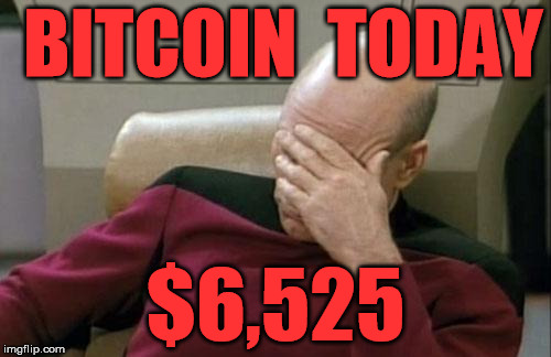 Captain Picard Facepalm Meme | BITCOIN  TODAY; $6,525 | image tagged in memes,captain picard facepalm | made w/ Imgflip meme maker