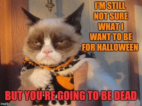 Grumpy cat Halloween | I'M STILL NOT SURE WHAT I WANT TO BE FOR HALLOWEEN; BUT YOU'RE GOING TO BE DEAD | image tagged in grumpy cat halloween,memes,grumpy cat,grumpy cat weekend,halloween,death wish | made w/ Imgflip meme maker