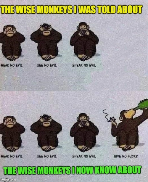 there are actually 4 wise monkeys now | image tagged in wise man,monkeys | made w/ Imgflip meme maker