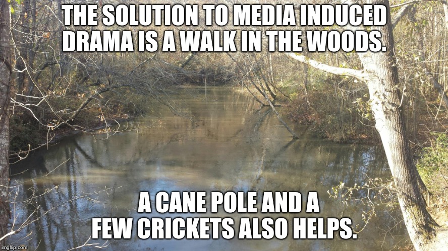 Creek  | THE SOLUTION TO MEDIA INDUCED DRAMA IS A WALK IN THE WOODS. A CANE POLE AND A FEW CRICKETS ALSO HELPS. | image tagged in creek | made w/ Imgflip meme maker