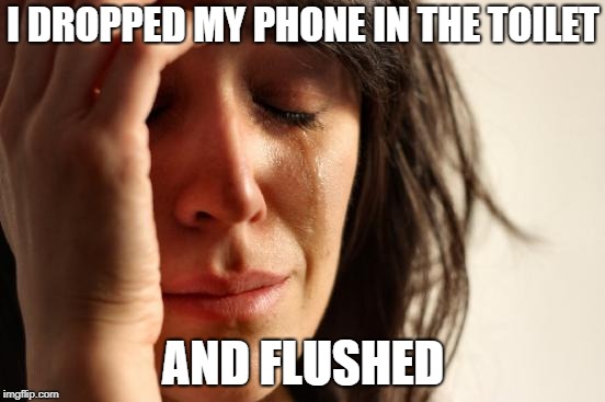 First World Problems Meme | I DROPPED MY PHONE IN THE TOILET; AND FLUSHED | image tagged in memes,first world problems | made w/ Imgflip meme maker
